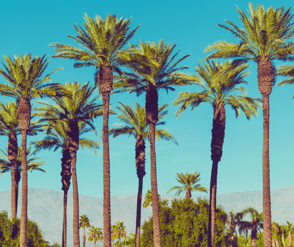 San Diego Hot Mop Roofing: Pros, Cons & Costs